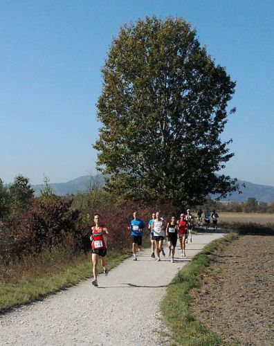 Am MF-Kanal, WAT Lauf 2011
